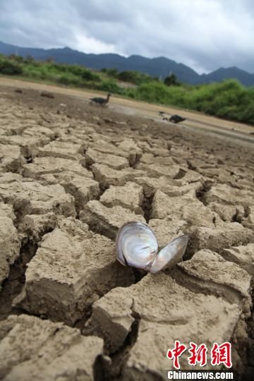 江西干旱 42座水库干涸21条小河断流_新浪天气预报