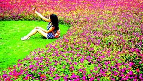 降雨不均冷热各异 春夏秋冬瓜分重庆|冷热|春