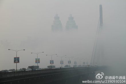重庆浓雾锁高速 进入一年多雾期|重庆|浓雾|大