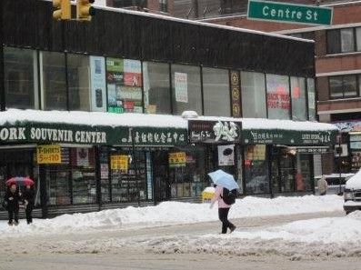 美国纽约再度遭遇大雪压城 华埠多数商家歇业