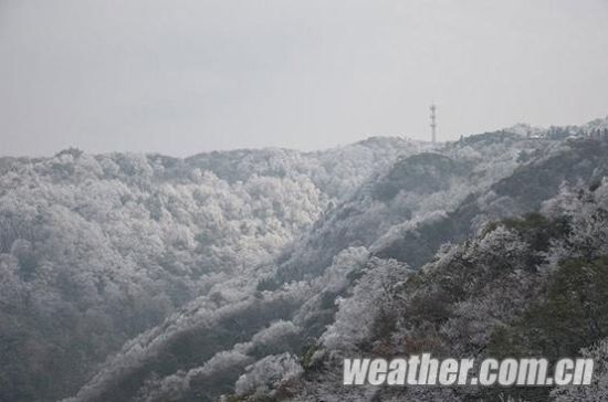重庆 高山景区掀起赏雪热潮_新浪天气预报