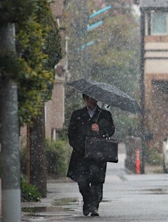 东京时隔5年4月降春雪 天冷如冬(图) |东京|日本