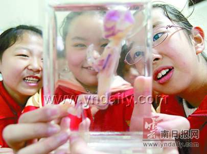 人鱼婴儿癌变黑肺震惊老少市民