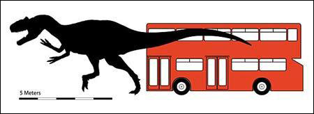 专家发现已知最大食肉恐龙 比双层巴士高(图)