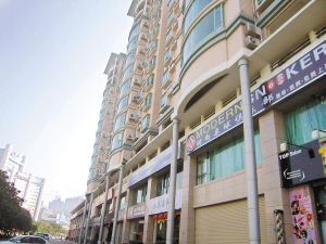 鹤洲地区将成