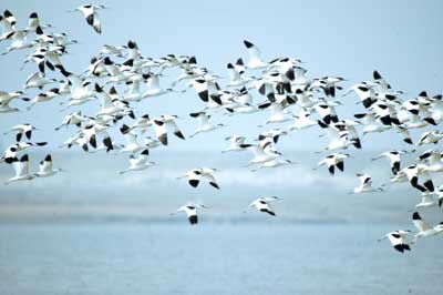 统筹协调 又好又快