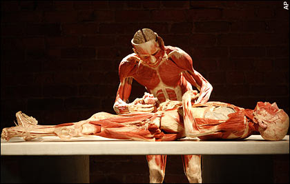 [独家]英举办人体标本展 包括36周胎儿尸体_新闻中心_新浪网