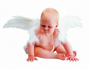 螨虫花粉冷空气惹火哮喘病