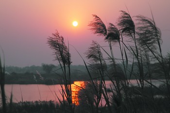 长沙向北通向梦想的地方