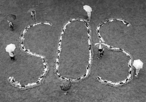 sos诞生100年求救信号救命无数