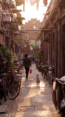 70岁建业里将现石库门公寓