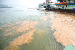 嘉陵江交汇处水面上近日呈现滚滚泥沙的"走沙水"现象,水色泾渭分明