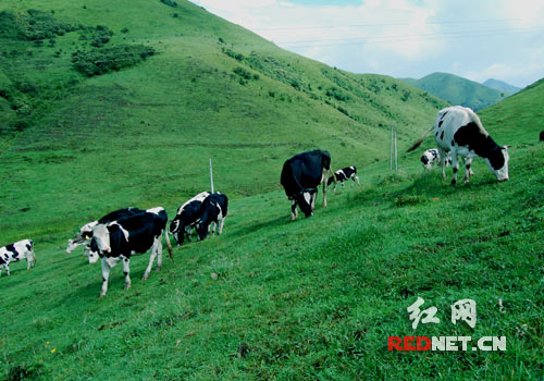 去南山牧场怎么穿搭_南山牧场