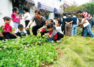 图片 幼儿 园 感恩节 门 装饰 幼儿 园 装饰 门