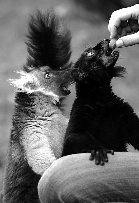 有缘千里来相会