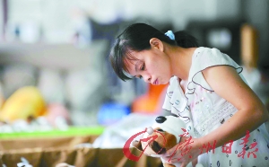 保品牌争订单