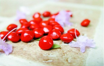 水瓶座的2009爱情开运物--红豆