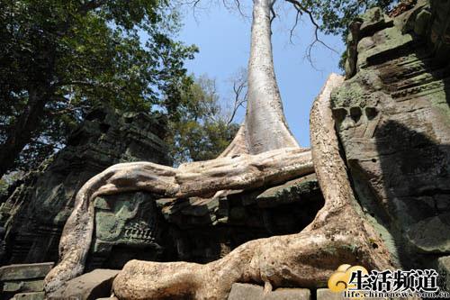 塔普伦寺:东南亚版本的丛林童话和命运遐思