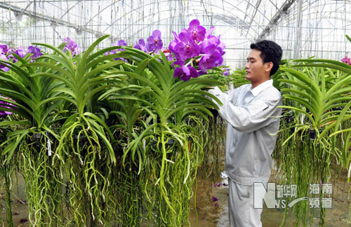 花卉生产示范基地看到