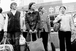 两成家政企业今年初倒闭