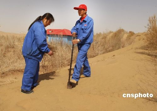 新疆塔克拉玛干沙漠公路中的 夫妻绿化守护站