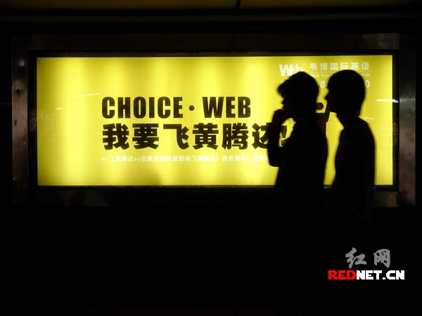 我要飞黄腾达!(组图)