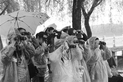 百余小学生冒雨比赛观鸟