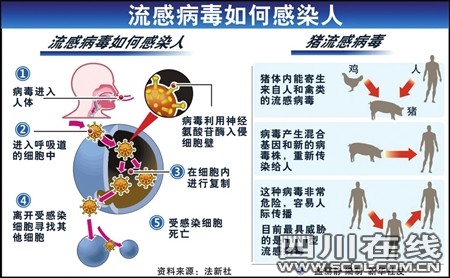 启动应急预案我省成倍储备应急药品