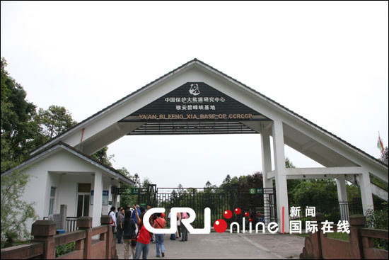 熊猫宝宝+我们来看你了--参观雅安碧峰峡熊猫