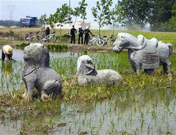 人口 马_东乡区马圩镇人口(2)