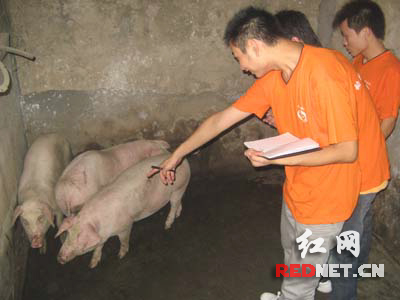 湖南农大动物医学院暑期社会实践活动落下帷幕