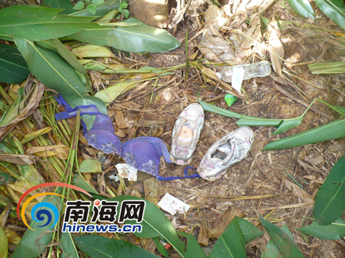 告诉南海网记者,由于犯罪嫌疑人案发后立即逃