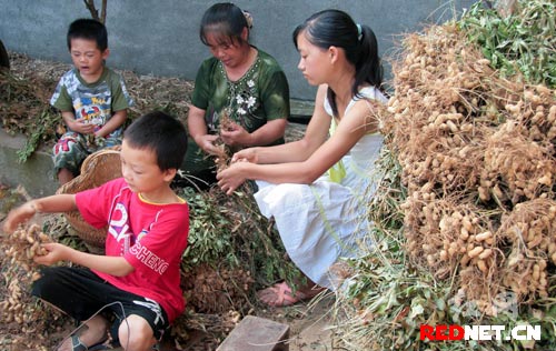 劳动补课也快乐