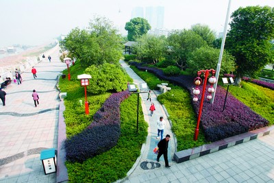 出门500米就是公共绿地