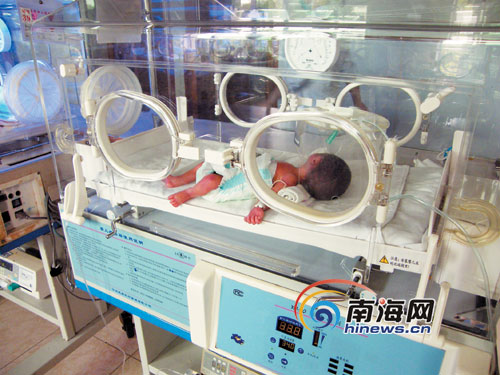 最小的不足2斤 睡在保温箱里的三胞胎大女儿 本报海口11月7日讯