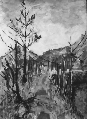 秋 兰州三十五中学 王天龙