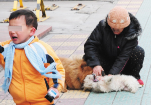 要闹出狗命啦!_新闻中心_新浪网