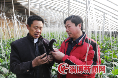山东淄川:富硒农产品价格高市场旺