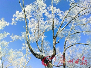 穿林海跨雪原过把杨子荣瘾