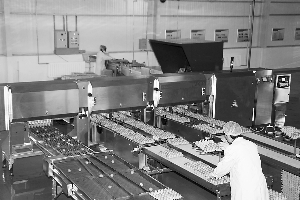 本报联合兰州正大发起关注食品安全,走进兰州