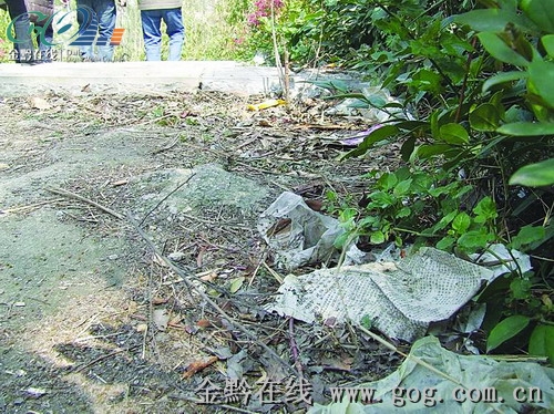 金阳石林公园破败不堪政协委员呼吁加强管理
