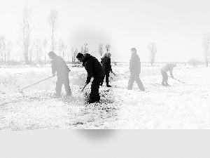 春播遇寒潮 河西麦子望天兴叹 30余万亩农作物