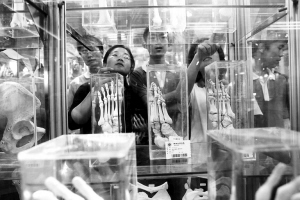 <em>人体</em>标本向学生免费开放_新闻中心_新浪网