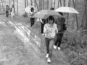 ͼ�ģ��𱨹���֧�̹ɹ�ů���鶯ɽ��