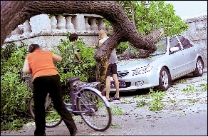 �޳��е������������һ�