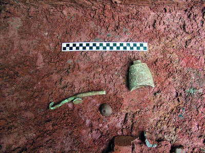 �����������ֲ���