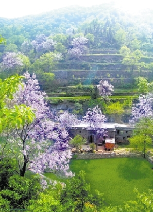 国家级生态文明村:杨树沟村