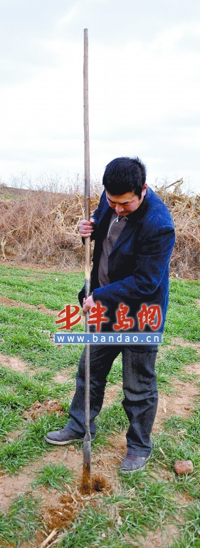 考古人员使用洛阳铲寻墓青岛建制虽然只有100多年的历史,但是在远古