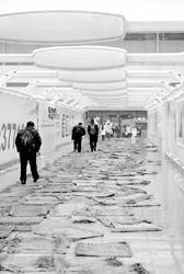 ��ѩ���������Ӧ������