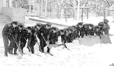 ��ѩ���������Ӧ������